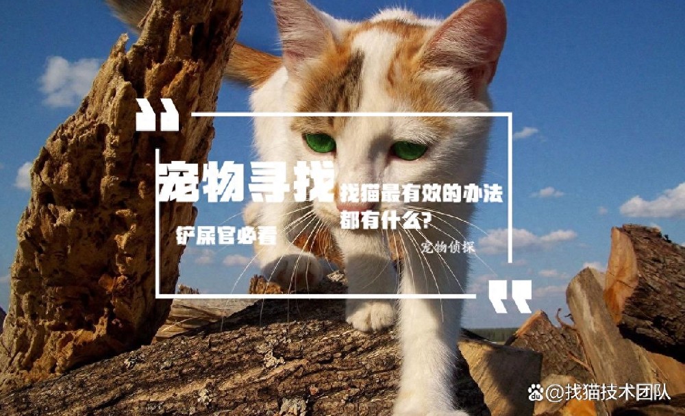 36b0c73640d0430abf1797013e67d6f2~tplv-tt-origin-asy2_5aS05p2hQOaJvueMq-WboumYn-WuoOeJqeS-puaOog==.jpg