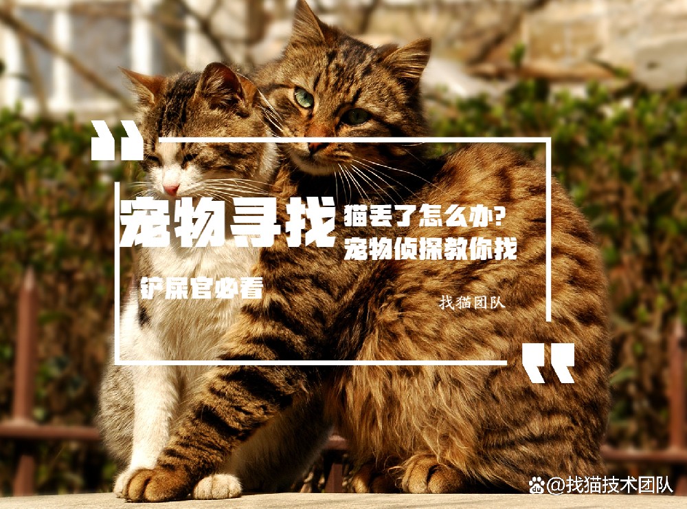 ae44111f2f9b5a02d423188af6597540.jpg