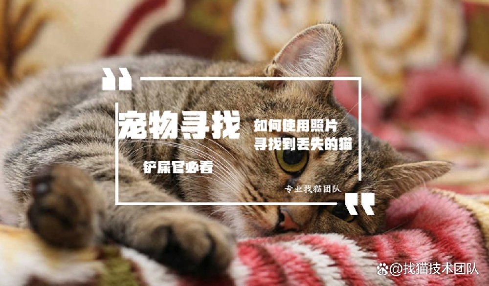 c46a07ef225e4fce964e136f97762f11~tplv-tt-origin-asy2_5aS05p2hQOaJvueMq-WboumYn-WuoOeJqeS-puaOog==.jpg