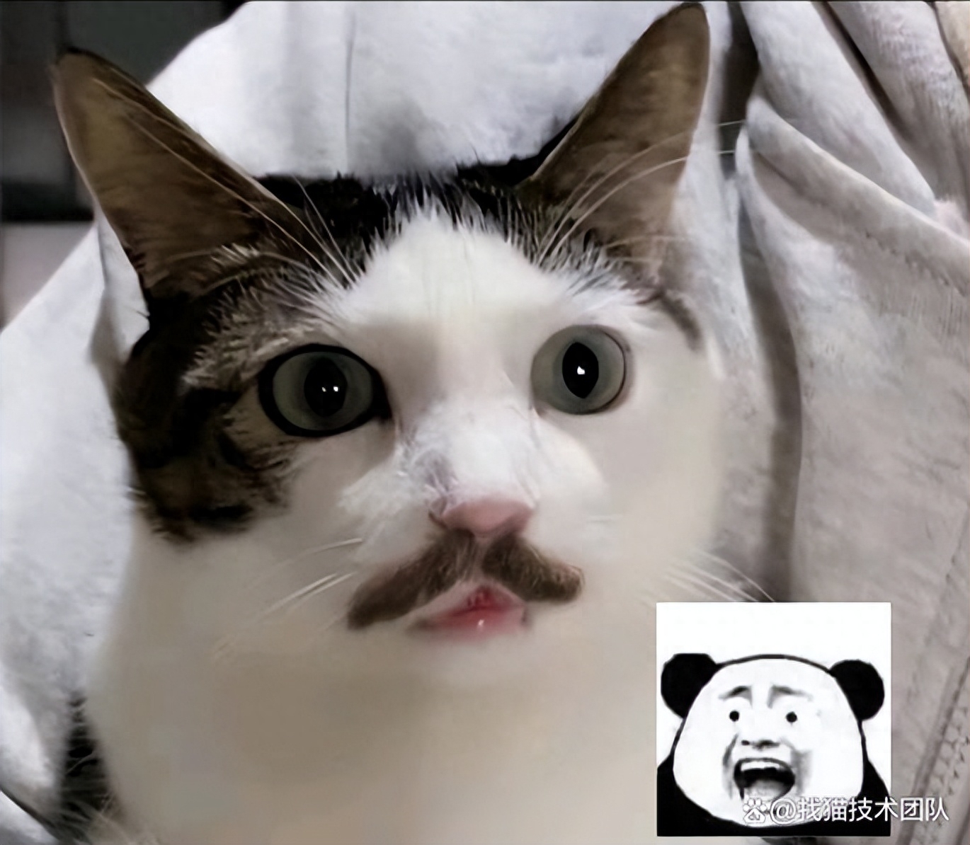 c8d8fe063d1f4751b7462d8ba2abd844~tplv-tt-origin-asy2_5aS05p2hQOaJvueMq-WboumYn-WuoOeJqeS-puaOog==.jpg