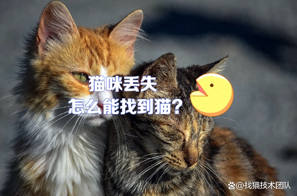 060b4665a14e40aaae80799c33ace9dd~tplv-tt-origin-asy2_5aS05p2hQOaJvueMq-WboumYn-WuoOeJqeS-puaOog==.jpg