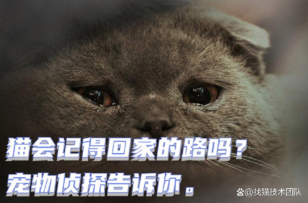 d5b0ee941ceb48009ef7f711b1901713~tplv-tt-origin-asy2_5aS05p2hQOaJvueMq-WboumYn-WuoOeJqeS-puaOog==.jpg