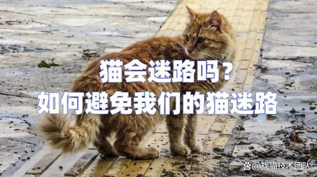 v2-08f8b246982dddef6dbf308c937be4be_720w.jpg