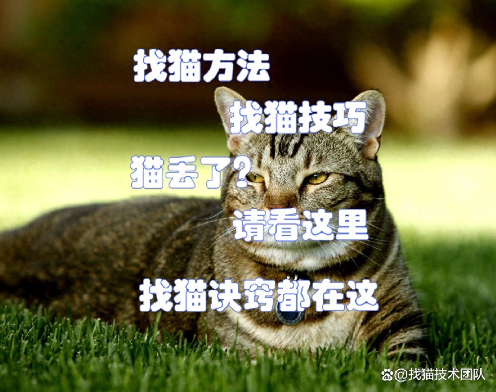 b77d72cc60f342b4ad96b1a5d1f4f584~tplv-tt-origin-asy2_5aS05p2hQOaJvueMq-WboumYn-WuoOeJqeS-puaOog==.jpg