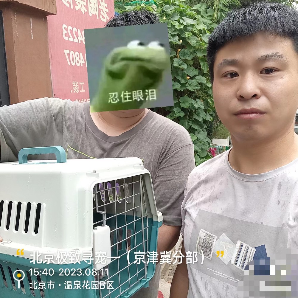 捕捉成功图63.jpg