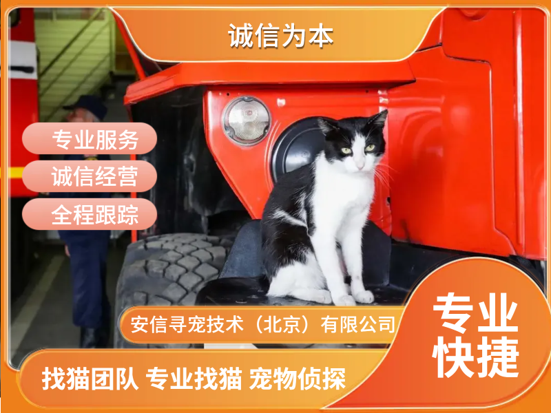 58展示图4.png