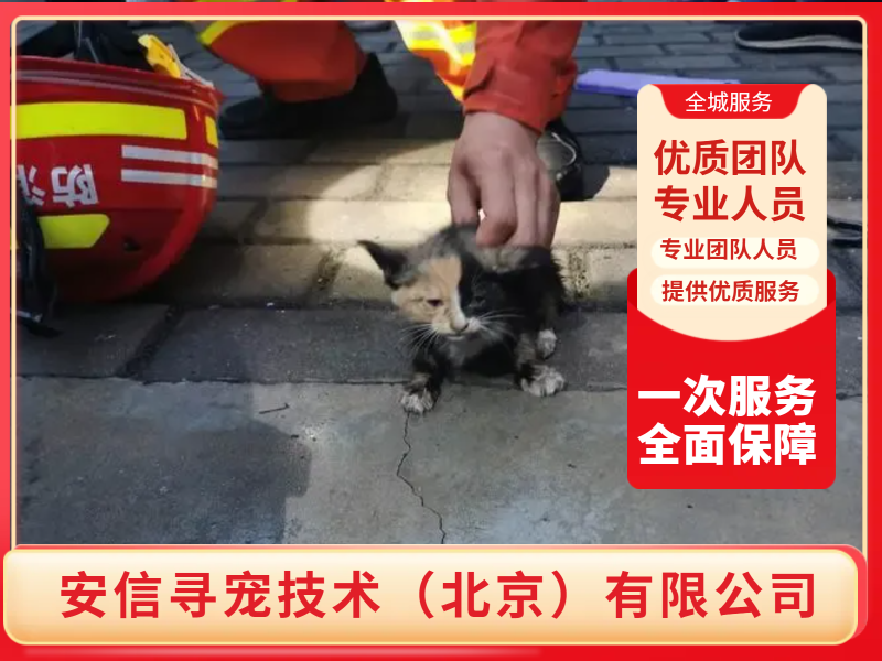 58展示图3.png