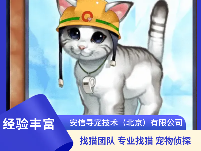 58展示图2.png